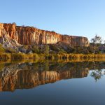 Murray River Walk