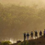 Murray River Walk