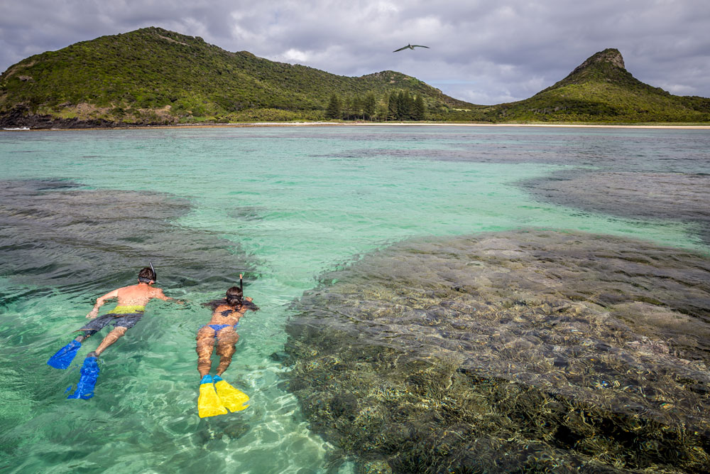 Swimming near Ned's Beach
