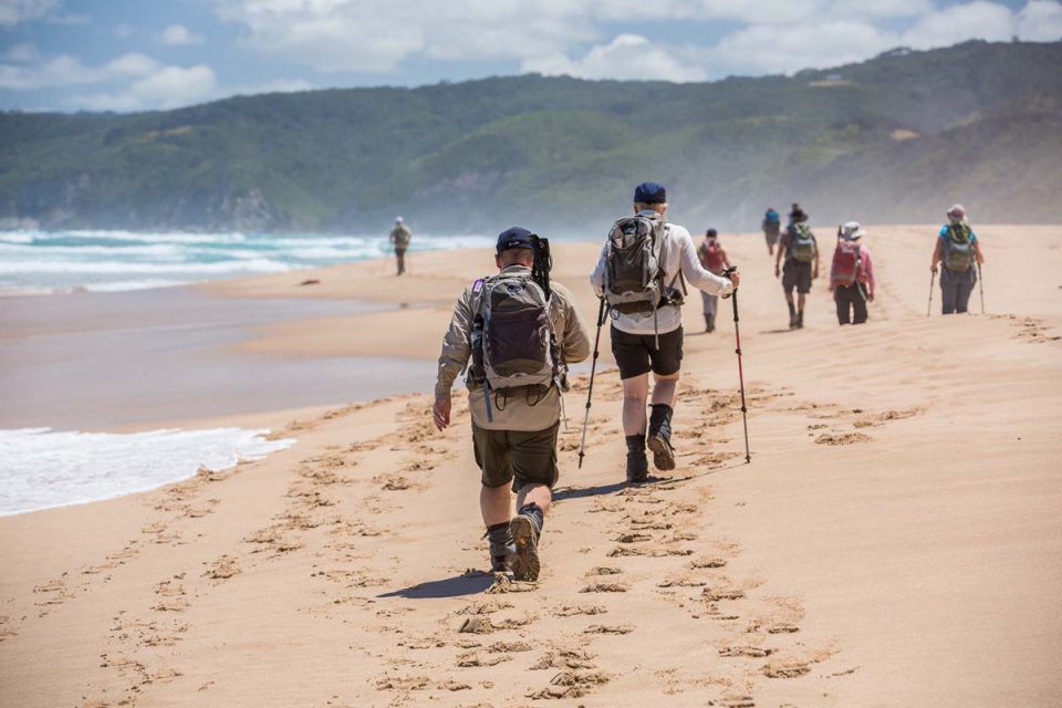 Walk along beautiful Victorian beaches with Great Walks of Australia on the Twelve Apostles Lodge Walk.