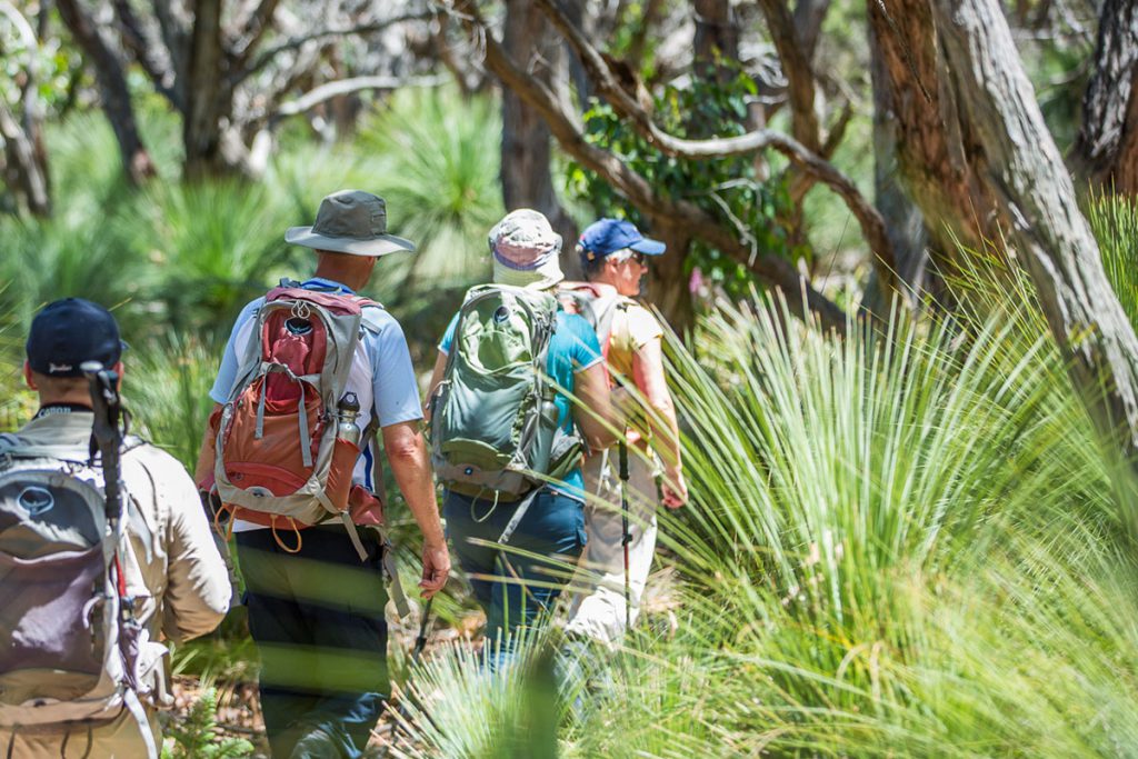 Enjoy a guided walking experience with Great Walks of Australia on the Twelve Apostles Lodge Walk in Victoria.