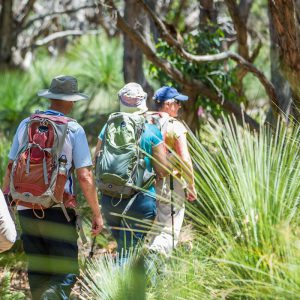Enjoy a guided walking experience with Great Walks of Australia on the Twelve Apostles Lodge Walk in Victoria.