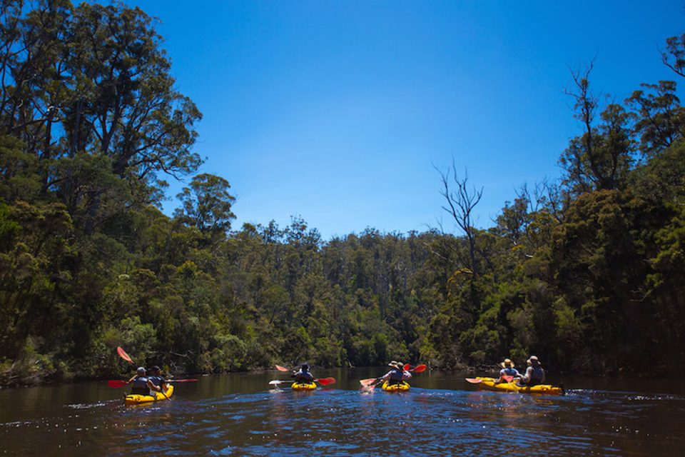 Enjoy kayaking down the Ansons River in Tasmania on the Bay of Fires Lodge Walk.