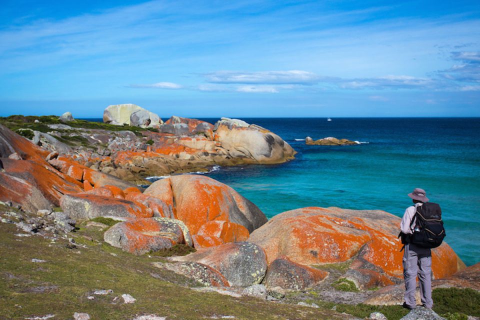 Discover the unique colours of the Australian coastline on the Bay of Fires Lodge Walk.
