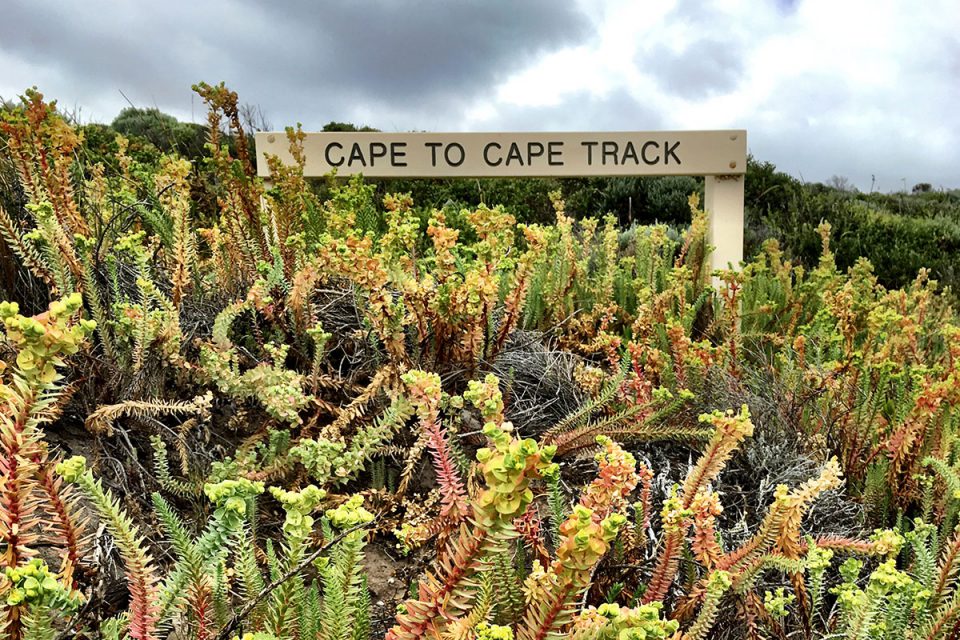Discover diverse Australian landscapes on the Cape to Cape Track with Great Walks of Australia.
