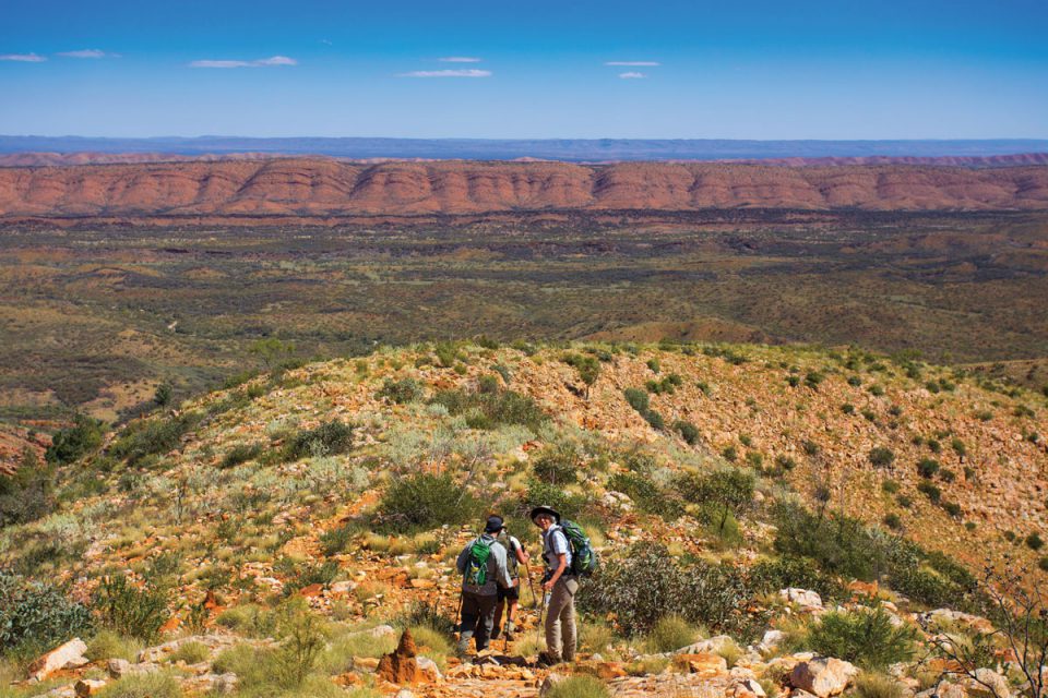 Discover stunning scenery on the Classic Larapinta Trek in the Northern Territory.