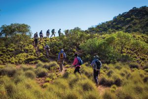 Hike along ridgelines on the Larapinta Trail in the Northern Territory.