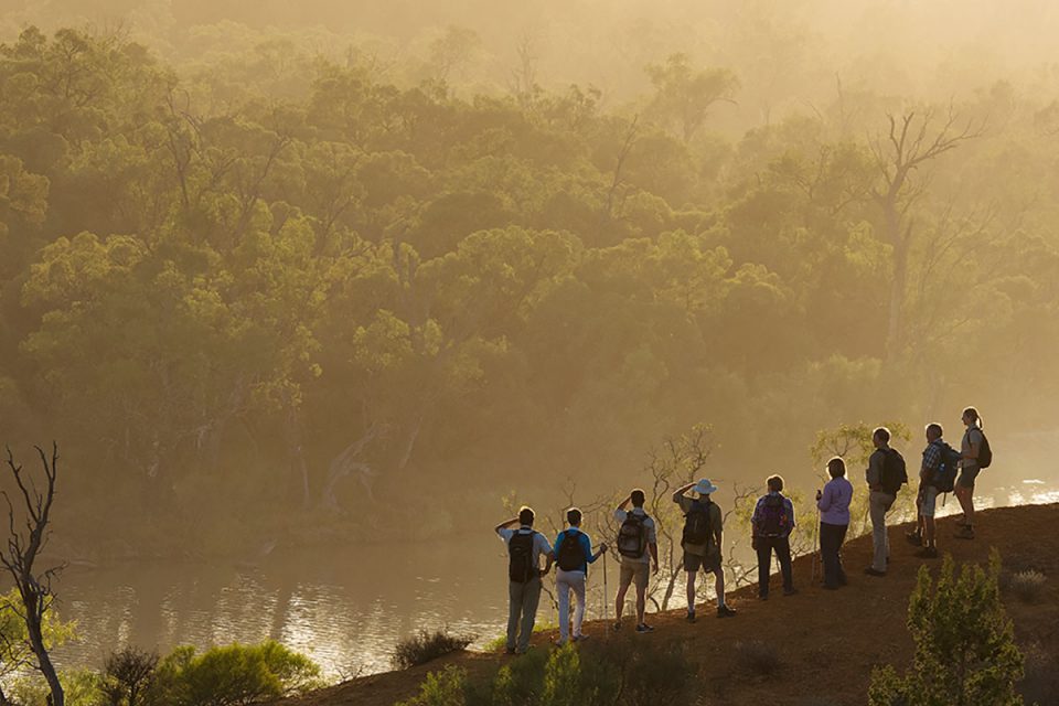 Enjoy the sunrise over the Murray River Valley at Headings Cliff in South Australia.