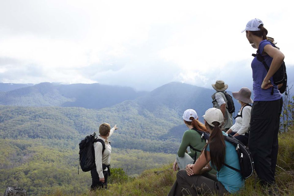 Learn from your guide along the way with Great Walks of Australia on the Scenic Rim Trail.