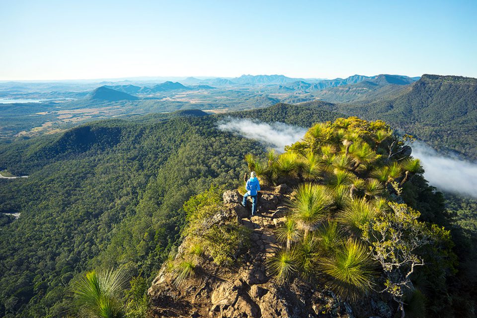 Climb to the summit of Mount Mitchell for stunning views of the Scenic Rim in Queensland.