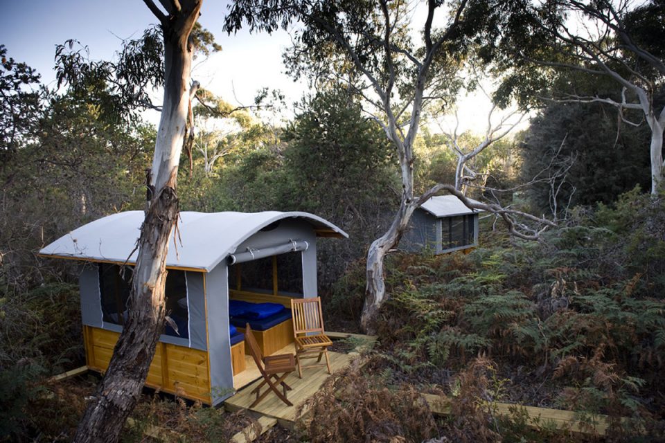 Sleep in a comfortable eco camp at Casuarina Beach on Maria Island, in Tasmania with Great Walks of Australia.