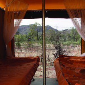 View from the tent