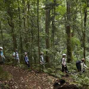 Walking along the Scenic Rim Trail