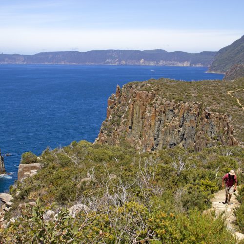 Ocean views from the cliffs on the Three Capes Walk