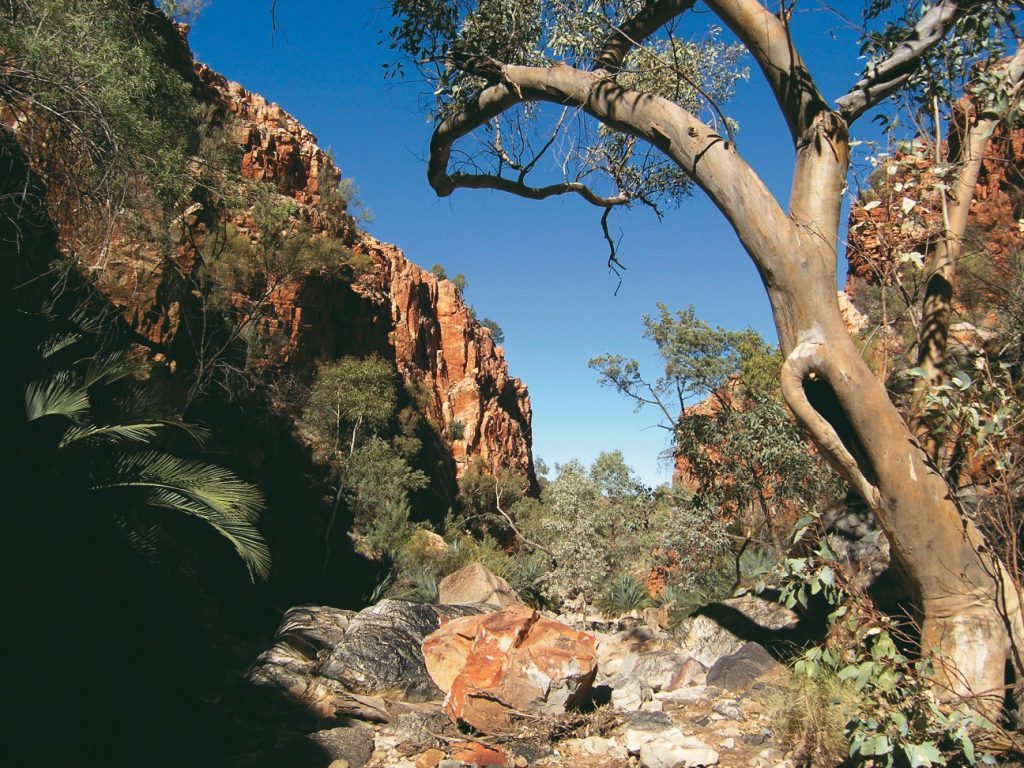 Standley Chasm Classic Larapinta Trek In Comfort