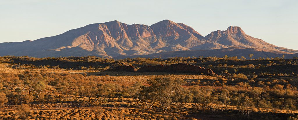 classic larapinta trek in comfort