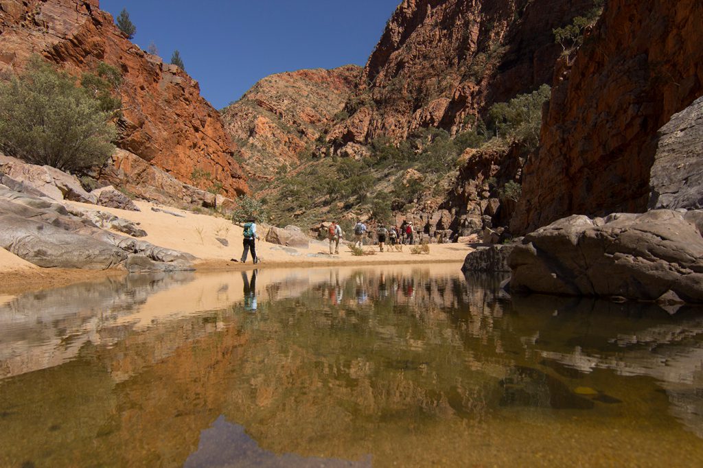 Classic Larapinta Trek In Comfort