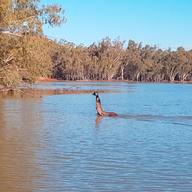 Australia’s most inspiring walking holidays | Great Walks of Australia