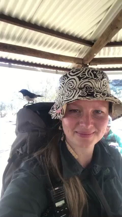 While we never touch wildlife, sometimes the wildlife REALLY wants to get up close and say hi to us 🐦This cheeky little Willie Wagtail is making the day of our awesome guide Anna out on the Classic Larapinta Trek In Comfort in the Northern Territory.⁣
⁣
Too cute! ⁣❤️
⁣
#ClassicLarapintaTrekInComfort #LarapintaTrail #NorthernTerritory #GreatWalksOfAustralia #GreatWalks #hikingaustralia #seeaustralia #australiagram #ig_australia #australianwalkingholidays #australia #wildlifeaustralia #walkingaustralia #womenwhohikeaustralia #hikinglife #bushwalkingaustralia #guidelife #larapinta #walkingholidays @auswalkingholidays @ntaustralia @australia