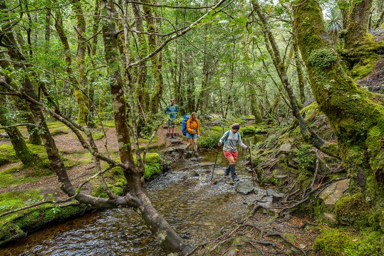 Hikers crossing a shallow forest stream on stepping stones through lush green moss-covered woodland trail