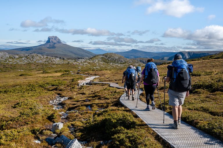 Hikers with backpacks walking on boardwalk trail through Tasmania wilderness with mountain peak in background