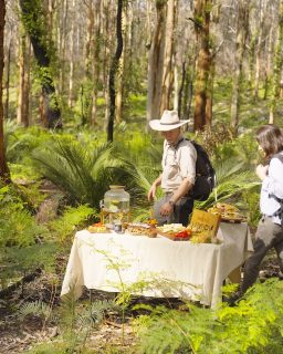 🌊 Cape to Cape Walk – Western Australia’s Wild Coastal Icon

Set along the rugged, windswept coastline of Margaret River, the Cape to Cape Walk is a breathtaking blend of coastal beauty, forest trails and local flavours.

🌿 Designed to showcase the very best of the region, this journey invites you to immerse yourself in Western Australia’s raw, spectacular landscapes — tracing dramatic clifftops, wandering through towering karri forests, and following the turquoise edge of the Indian Ocean.

You’ll walk hand-picked highlights of the iconic 135km Cape to Cape Track, a route rich in pristine wilderness, cultural storytelling and moments to slow down and truly reconnect.

🍷 Each evening, return to your private lodge accommodation to unwind. Think cosy fires, chef-prepared meals, and a glass of Margaret River’s finest as you toast the day’s adventure.

📅 Operating March–June and September–November, this walk is perfectly timed for wildflower season 🌼, whale spotting 🐋 and golden sunsets over the WA coastline 🌅.

🥾 Over four days, enjoy a small-group, guided experience that balances invigorating walks with space to rest, reflect and savour the journey.

📖 Along the way, learn more about Noongar culture and the ancient landscapes that shape this remarkable coastline — from limestone caves and granite headlands to peppermint woodlands and surf-pounded beaches.

🍃 Whether you’re a seasoned hiker or stepping into your first multi-day walk, this experience offers the perfect blend of adventure, comfort and nature-led connection. Every detail is thoughtfully taken care of, so you can simply walk, breathe and be.

🧭 Operated by #WalkIntoLuxury, this is Western Australia’s only Great Walk of Australia — a celebration of nature, comfort and coastal magic.

👉 Discover more: greatwalksofaustralia.com.au/our-walks/cape-to-cape/

#SeeAustralia #GreatWalksOfAustralia #CapeToCapeWalk #WalkIntoLuxury #WesternAustralia #MargaretRiver #CapeToCapeTrack #WildCoastWA #NatureMeetsComfort