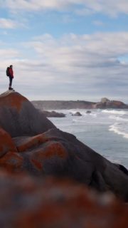 Walking encourages you to slow down and see the world in a different way!

#greatwalksofaustralia #walkingforwellbeing #hikingadventures #wellnesstravel