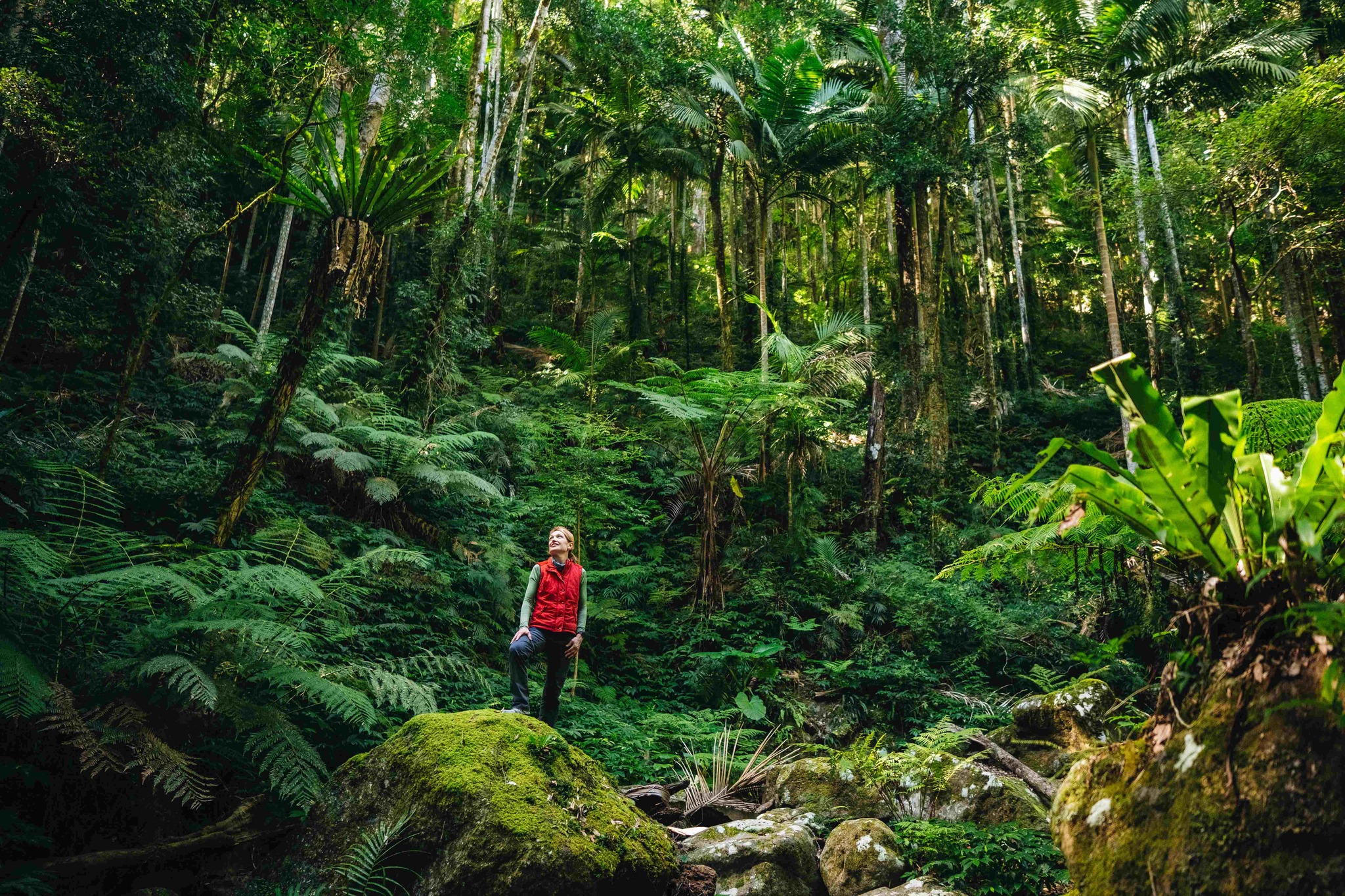 Nature has a way of settling the mind, slowing the breath and giving your brain the reset it didn’t know it needed. 🌿✨

Time outdoors is linked to better mood, lower stress, clearer thinking and even stronger immunity. And new research shows that regular walking can help slow cognitive decline and support long-term brain health. 🧠💚

Now imagine a multi-day walk…

On a Great Walk of Australia, you’ll cover 25–72 km (15–45 miles) — anywhere from 35,000 to 100,000 steps of pure calm, clarity and connection.

If you’re craving space to breathe, think, reconnect or feel inspired… the tracks and trails are waiting.

🌿 Explore our walks → greatwalksofaustralia.com.au/our-walks