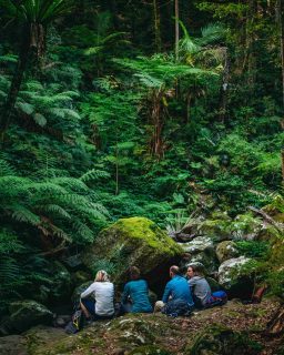 How many times have you said, “We should do this together,” and then life got busy?

The calendars fill up.
The planning feels hard.
And the idea quietly slips down the list.

Exclusive-use group walks make it easy to finally say yes.

Our team of walking experts helps you choose the right walk, the right style, and the timing that suits your group — whether that’s friends, family, a celebration, or a like-minded crew ready for time out together.

✨ Effortlessly planned
✨ Designed around your group
✨ Challenge and adventure by day
✨ Comfort, connection and care by night

📸 Featured here: Scenic Rim Trail - a 4-day / 4-night journey combining stunning landscapes with remarkable food and wine, warm caring hospitality, and an effortless, close-to-Brisbane escape.

📍 Exclusive-use group departures are available across selected Great Walks of Australia

📩 Get in touch to explore what could work best for your group. Link in biio.

Some experiences are worth moving from “one day” to the calendar.

#GreatWalksOfAustralia #ScenicRimTrail #ExclusiveUse #GroupGetaway
#AustralianWalking #WellbeingTravel #SlowLux #TransformationalTravel
#TravelWithPurpose #MeaningfulMoments #TimeTogether
#FriendsWhoTravel #SharedExperience #seeaustralia