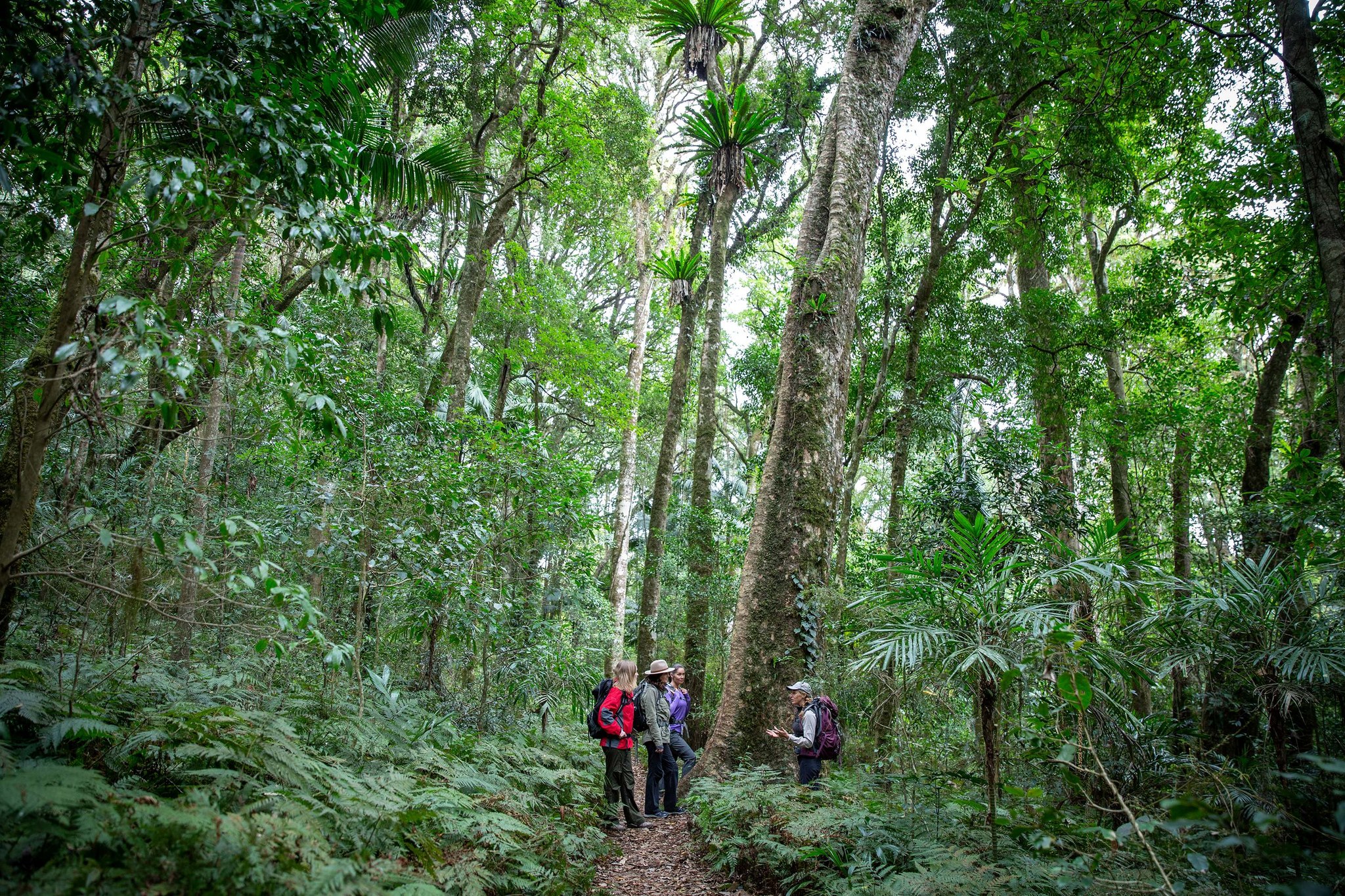 What if 2026 isn’t about big resolutions and is instead about small steps that quietly make you feel better?

As the year draws to a close, there’s often that familiar build-up to New Year’s Eve. The conversations, the prompts, and even one’s own internal dialogue nudging us to think bigger, aim higher and set bold intentions.

And if you’re anything like us, you may be old enough and wise enough to recognise the pattern. You’ve set those new year's resolutions before. Some stuck. Many didn’t. Not from lack of care, but because life happened, energy shifted and priorities changed.

What if this year, you took the pressure off?

What if instead of chasing big promises, you chose small shifts that support how you want to feel, day to day?

At Great Walks of Australia, we believe in quiet momentum. Built through small shifts that fit into real life and last.

If the year ahead is calling for anything, it might simply be this:
move a little more, breathe a little deeper, and choose moments that help you feel well.

Instead of grand goals, try gentle swaps:
• hop off the bus a stop earlier
• take the stairs for a floor or two
• swap seated meetings for walk and talks
• step outside between tasks
• walk when energy dips

Think in minutes, not kilometres.
Swap speed for presence.
Let walking support your wellbeing, not compete with it.

And if those small choices quietly grow into something more…
If you find yourself wanting a few days where walking sets the pace and nature does the talking…

Take a wander through our collection of multi-day guided walks whenever the moment feels right.
👉 greatwalksofaustralia.com.au/our-walks

Here’s to steady steps, calm minds and a year that unfolds one walk at a time.