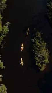 Discover your first or next Great Walk of Australia with 15 incredible walks suited for those exploring multi-day walking for the very first time through to experienced walkers that love their creature comforts. Led by expert guides, these walks provide intimate nature experiences, connection and adventure. 

#greatwalksofaustralia #multidaywalks #slowtravel #nature