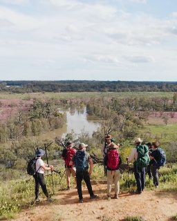 🎒 Immersion is the simple pleasure of being in it. Walking Season 2026 is coming… and the river is calling. 🌿✨

🚶‍♀️ Step into landscapes that have shaped cultures, wildlife and stories older than you can imagine — along Australia’s greatest river.

📍 Begin in Renmark, South Australia
🌅 4 days | 3 nights of guided, easy walking
🌾 ~40km of flat, bush trails + 70km of peaceful river cruising
🍷 Eco-luxe houseboat nights with local food & wine
👣 Intimate small groups — max 10 walkers

✨ Morning dives into red gum forests.
🦜 Quiet moments with waterbirds and wildlife.
🔥 Sunset reflections over calm waters.
🥾 Stories of river, culture & connection in every step.

 This immersion and reflection at it's best.

👉 Book your walk for 2026. Visit https://greatwalksofaustralia.com.au/our-walks/murray-river-walk/

 #MurrayRiverWalk #GreatWalksOfAustralia #WalkingSeason2026 #MurrayRiverTrails