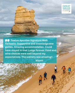 🌊 Twelve Apostles Signature Walk | Victoria

Four days. Rugged coastline. Limestone giants rising from the Southern Ocean.

The Twelve Apostles Signature Walk follows the most spectacular section of the Great Ocean Walk, weaving through coastal heath, clifftops, remote beaches and tall forests before finishing at the iconic Apostles themselves.

👣 Moderate walking. Small groups. Expert guides.
🏡 Lodge-based comfort at a private eco-lodge on Johanna Beach.
🍷 Regional dining and Victorian wines each evening.
🚗 Easy access with transfers from Melbourne included.

Operated by Tasmanian Walking Company, this is where wild ocean drama meets warm showers and beautifully prepared meals.

If you are looking for a multi-day walk that balances challenge with comfort, this is one of the best ways to experience Victoria on foot.

Discover more via the link in bio.

#GreatWalksOfAustralia #TwelveApostles #GreatOceanRoad #WalkVictoria
#TwelveApostlesSignatureWalk