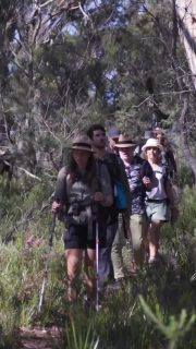 “We only met four days ago… yet it feels like we’ve known each other forever.” It’s a sentiment heard often at the end of our multi-day walks. Somewhere between the first introductions and the shared moments along the trails and tracks, conversations deepen, laughter comes easily, and the group begins to move as one — encouraging each other, sharing stories, and celebrating each day’s journey together. Out here, connections form naturally. No pressure. No distractions. Just the simple rhythm of walking through extraordinary places side by side.The landscapes may be what bring walkers here, yet it’s often the people they meet along the way that become part of the lasting memory. Explore the collection and find the walk that could become your next great adventure. www.greatwalksofaustralia.com.au/our-walks/  #GreatWalksofAustralia  #WalkTogether #SharedJourneys #GuidedWalking #WalkAustralia #TravelDeeper #TransformationalTravel #SeeAustralia