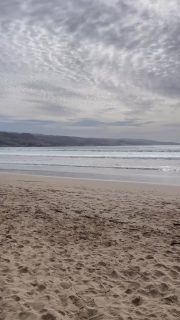 Koalas, rugged coastline, shipwreck history,  hours of laughter, delicious food & wine and gorgeous lodge accommodation in the bush.

#TwelveApostlesSignatureWalk #GreatWalksofAustralia #VisitVictoria #SeeAustralia #MultidayWalking