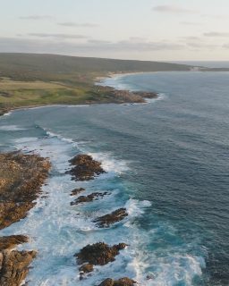 Nature has a way of quieting the noise.

On the Cape to Cape, it’s just boots on track, salt in the air, and the Indian Ocean doing its thing beside you.

Cliffs, wildflowers, long views… and somehow, everything feels a little lighter out here.

#capetocapewalk #margaretriverregion #westernaustralia #walkingholidays #greatwalksofaustralia
