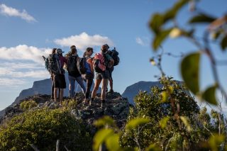 Five days. 6 nights. An absolute island escape.

The Seven Peaks Walk takes you across one of Australia’s most extraordinary island landscapes, where mountains rise straight from the sea.

Climb to iconic peaks, trace coastal ridgelines, and take in sweeping ocean views at every turn.

Led by expert guides, with small groups and time to move, pause, and take it all in.

By day, it’s challenge, elevation, and perspective.
By night, it’s comfort, great food, and the ease of island life.

An island experience that stays with you.

#GreatWalksOfAustralia #SevenPeaksWalk #LordHoweIsland #WalkAustralia
#MultiDayWalk