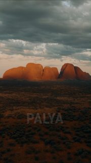 A new chapter begins on ancient ground.

The Uluṟu-Kata Tjuṯa Signature Walk welcomes its first guests to walk a path shaped by millennia of Aṉangu connection to Country.

Powerful, humbling, and deeply special… an experience to walk with care, respect, and understanding.

#ulurukatatjuta #redcentre #ntaustralia #walkingholidays #greatwalksofaustralia