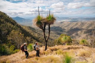 Itchy feet… yet not feeling like the long-haul flights, airport chaos or uncertainty of international travel right now?

Then perhaps it’s time to look closer to home.

From coastal cliffs and ancient rainforest, to alpine peaks, river country and the vast Australian outback, Great Walks of Australia brings together some of the country’s most extraordinary multi-day guided walking experiences.

Walk by day. Rest well by night.

Expert guides, incredible landscapes, meaningful connection, regional food and wine, and the kind of deep exhale many of us don’t realise we need.

🥾 Which Australian landscape is calling you most right now?

#GreatWalksOfAustralia #WalkingHolidaysAustralia #MultiDayWalks #GuidedWalksAustralia #HikingAustralia