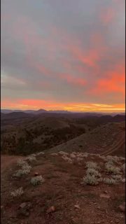 Some sunsets create conversation. Others command attention and silence.

As the light fades across the ancient ranges on Arkaba, there is quiet recognition. No words are needed.

It’s breath-taking.
Yet life-giving.

This stillness. The colour stretching across the outback sky. ✨

#ArkabaWalk #FlindersRanges #SouthAustralia #GreatWalksOfAustralia #SeeAustralia