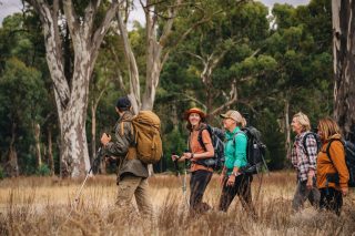 Five days. Four nights. An outback experience unlike any other.

The Arkaba Walk takes you deep into South Australia's Ikara-Flinders Ranges, where ancient landscapes, abundant wildlife and a 63,000-acre private nature conservancy create an unforgettable journey.

Walk beneath rugged ranges, across open plains and through country rich in natural and pastoral history.

Led by expert field guides, with small groups and immersive interpretation that brings the landscape, wildlife and conservation story to life.

By day, it's vast horizons, native wildlife and the quiet of the outback.
By night, it's wilderness camps beneath millions of stars, memorable dining, and the final evening at the historic Arkaba Homestead.

An outback journey where conservation, comfort and connection abound. 

#GreatWalksOfAustralia #TheArkabaWalk #FlindersRanges #WalkSouthAustralia #MultiDayWalk