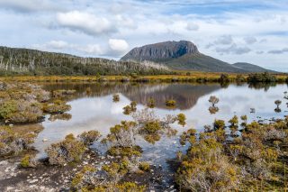 Six days. Five nights. One of Australia's greatest walks.

The Cradle Mountain Signature Walk follows the iconic Overland Track through the heart of the Tasmanian Wilderness World Heritage Area.

Walk beneath ancient rainforests, across alpine moorlands and past glacial lakes, with every day revealing a new side of this remarkable landscape.

Led by expert guides, with small groups and exclusive private huts that offer comfort in the heart of the wilderness.

By day, it's alpine peaks, pristine wilderness and the quiet rhythm of the trail.
By night, it's hearty meals, warm hospitality and the comfort of purpose-built private huts.

A bucket-list journey through one of Australia's most celebrated wilderness landscapes.

#GreatWalksOfAustralia #CradleMountainSignatureWalk #OverlandTrack #TasmaniaTravel #MultiDayWalk