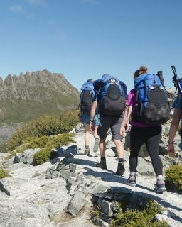 Meet Steph 👋 One of the expert guides behind the Cradle Mountain Signature Walk, sharing her experience and what she loves most about walking through this extraordinary part of Tasmania.

There’s something special about experiencing Cradle Mountain through the eyes of someone who knows the region intimately and loves this magnificent landscape.

🎥 Cradle Mountain Signature Walk, Tasmania

#GreatWalksofAustralia #CradleMountain #Tasmania #WalkingHoliday #SeeAustralia