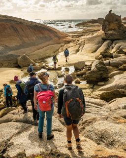 Planning a Tassie walking holiday? These three are worth a look 👇🏼

✅ Flinders Island Walking Adventure in Comfort
Remote beaches, big skies and that proper away-from-it-all feeling.

✅ Cradle Mountain Signature Walk
Alpine scenery, forest trails and one of Tasmania’s most iconic landscapes.

✅ The Maria Island Walk
Wildlife, history, beautiful coastline and a slower island pace.

Three very different ways to experience Tasmania on foot. The hard part is choosing which one comes first.

Which one would you put on your list?

#GreatWalksOfAustralia #DiscoverTasmania #FlindersIslandWalkingAdventureinComfort #CradleMountainSignatureWalk #MariaIslandWalk