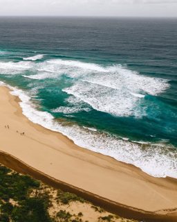 Save this before you start planning your next Australian walking holiday 👀

A good place to start? When do you actually want to go?

Tasmania and Victoria are great in the warmer months, autumn and spring are hard to beat for coastal walks, and when the weather cools down, the Red Centre and South Australia really come into their own. 🌿

The best part is, there’s always somewhere worth walking.

Which season would you choose?

#GreatWalksOfAustralia #DiscoverTasmania #VisitVictoria #SeeSouthAustralia #NorthernTerritory