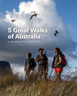 Hoping to fit one more walking holiday into 2026? 🥾 Here are a few things to know before choosing your dates.

• Flinders Island Walking Adventure In Comfort
The season runs from October to April, and the trip includes charter flights from Bridport, with transfers from Launceston.

• Seven Peaks Walk
One to plan further ahead for: 2026 departures are sold out, maybe 2027 is a week of exploring Lord Howe Island and staying at Pinetrees Lodge.

• The Maria Island Walk
The walking season begins in October. Transfers from Hobart are organised, making it easier to build the walk into a longer Tasmanian trip.

• Cape to Cape Walk
Its spring season runs through November, so check those dates if Margaret River is your pick before the year ends.

• Twelve Apostles Signature Walk
The season runs from September to May, giving you options across spring and into summer.

Which one would you choose? 👇 Save this for planning and check current departures through the link in our bio.

#greatwalksofaustralia #walkingholidays #hikingaustralia #guidedwalks #australiantravel