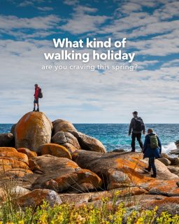 Ocean views or a trail through the trees? 🌿

Start with the scenery you love, then think about how you’d like to spend your days. Longer climbs, beach walking or a mix of both? Check the terrain, daily distances and what you’ll carry to find a walk that suits you.

Which slide looks like your kind of spring holiday? 👇 Send it to your walking partner, then explore the full itineraries through the link in our bio.

#greatwalksofaustralia #walkingholidays #hikingaustralia #guidedwalks #springtravel