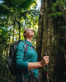 You don't have to wait for someone else to be ready to explore. 🚶‍♀️

For women travelling solo, a guided walking holiday offers the freedom to discover somewhere new, with the companionship of experienced guides and like-minded walkers along the way.

From quiet moments beneath the forest canopy to conversations shared on the trail, there's space for both independence and connection.

Sometimes, the journey you choose for yourself becomes the most rewarding.

Would you consider joining a walking holiday solo? 👣

#greatwalksofaustralia #solofemaletravel #guidedwalking #seeaustralia
