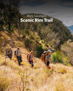 Comment “Walk” and we’ll send you all details and how to book!

Four days on Queensland’s Scenic Rim Trail takes you from Mt. Mistake into the ancient Gondwana rainforest of Main Range National Park, through rocky sections, forest trails and high country.

Along the way, stay in purpose-built camps, enjoy regional food and spend the evenings winding down with the group after a full day on the trail.

The final day climbs to Bare Rock before descending through rainforest towards Cunningham’s Gap, bringing the four-day journey to a close.

Could you see yourself walking it? Save this one for your next adventure. 👣

#greatwalksofaustralia #scenicrimtrail #thisisqueensland #seeaustralia #queenslandwalks